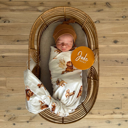 Baby Name Birth Announcement Plaque | Choose your own shape, font & colour
