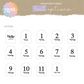 Acrylic Milestone Set - Arch | Choose your own font & colours