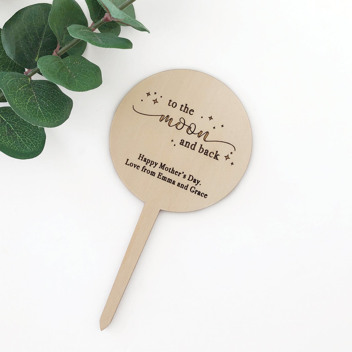 To the Moon and Back Planter Stick
